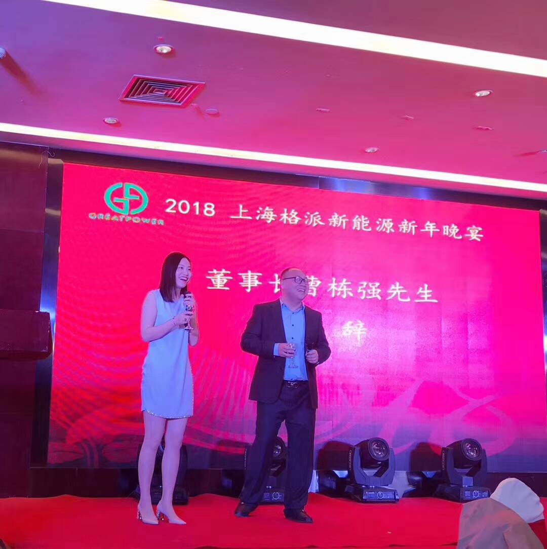 青春鋰想  鳳凰鎳槃  不可鈷量  ——熱烈-祝賀上海格派新能源2018年年會(huì)成功召開(kāi)！